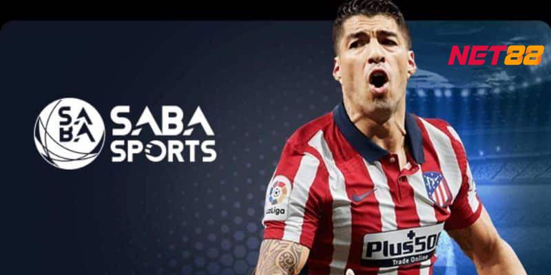 Các Môn Thể Thao Cá Cược Tại Saba Sports Net88